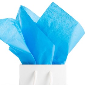 CARTA VELINA 20 GR. 50X76 CM CF 24 FG AZZURRA