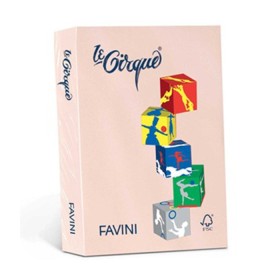 CARTONCINO A4 160 GR. 250 FG COL. 103 SALMONE