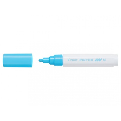 PENNARELLI PILOT PINTOR 2 MM COL. BLU PASTELLO