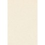 CARTONCINO A4 NATURE 200GR CF DA 50 FG COL. ALGA