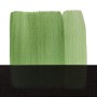 MAIMERI TUBO OLIO 60ML COL. VERDE VESCICA